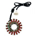 Stator rick s motorsport electric honda cbr 954 rr 02 - 03
