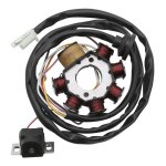 Stator tnt booster 2002 / nitro 2002 Stator tnt booster 2002 / nitro 2002