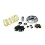 Variateur malossi multivar derbi predator / atlantis / paddock / hunte