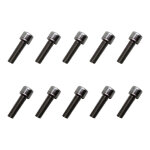 Vis de potence � t�te conique chrom� m5x18 (kit de 10 vis)