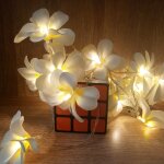 1. 5m 10 led  piles blanc chaud cratif bricolage frangipanier led guirlande lumineuse floral vacances ...