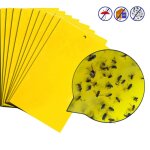 10 paquets double face stick insect board conseil jaune melon fruit fly trap board