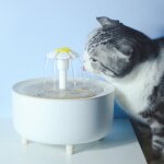 346578 filtre de circulation automatique pour animaux de compagnie cat flowing drinking fundation, spec: ...