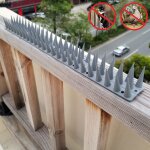 Clous anti - escalade de clture en plastique anti - oiseaux (gris)