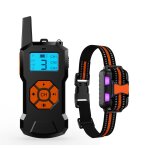 Dispositif de dressage de chien télécommandé électronique collier de choc de dressage pour animaux de ... Dispositif de dressage de chien télécommandé électronique collier de choc de dressage pour animaux de ...