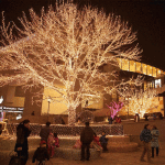 Lumi�re de corde imperm�able de 100 led avec le contr�leur, effet clignotant / �vanouissement / chasing, ...