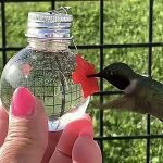 Mangeoire � oiseaux suspendue ampoule ext�rieure pour mangeoire � colibris