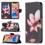 Motif de dessin color horizontal flip cuir toot avec porte - carte et portefeuille pour iphone 13 pro ...