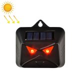 Nocturne nocturnal animal solar high frequency flash (owl black)