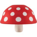 Ototo magic mushroom entonnoir
