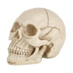 Pr�sentoir pour gadget hallowmas prop de skull head, taille: 19 (l) x 13 (l) x 14cm (h) (blanc)