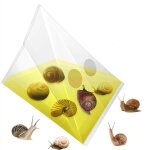 Sac piège à limaces d'escargot, 20 pièces / paquet, piège à légumes de jardin, sac en plastique transparent ... Sac piège à limaces d'escargot, 20 pièces / paquet, piège à légumes de jardin, sac en plastique transparent ...