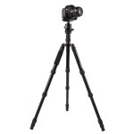 Trpied en aluminium ajustable triopo mt - 2805c (or) avec rotule nb - 2s (noir) pour appareil photo ...