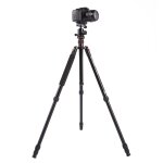 Trpied en aluminium portable rglable triopo mt - 2504c avec rotule nb - 1s pour appareil photo canon ...