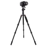Trpied en aluminium portable rglable triopo mt - 2505c avec rotule nb - 1s pour appareil photo canon ...