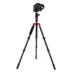 Tr�pied portable ajustable en fibre de carbone triopo gt - 2505x8. c avec rotule b - 1 en aluminium pour ...
