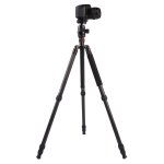 Triopo gt - 2804x8. c trépied portable réglable en fibre de carbone (or) avec rotule b - 2 en aluminium ... Triopo gt - 2804x8. c trépied portable réglable en fibre de carbone (or) avec rotule b - 2 en aluminium ...