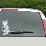 V�hicule voiture arri�re pare - brise essuie - glace r�fl�chissant auto - adh�sif sourire chat d�m�nagement ...