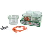 Weck lot de 4 bocaux 0, 25l