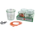 Weck lot de 4 bocaux 0, 5l