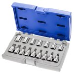 Expert - coffret de douilles et douilles tournevis torx 1 / 2  - 16 pices - e032907