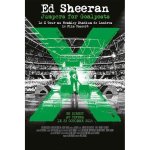 Affiche du concert au cinema (22 oct 2015)