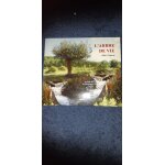 Alain caburet - l'arbre de vie (chants inspir�s de la bible) - cd 20 titres 2013
