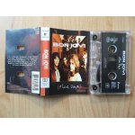 Bon jovi - these days 1995