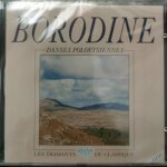 Borodine - danses polovtsiennes - cd album