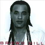 Brown hill - funk soul - import netherlands ( p ) 2010 - cd boite crystal 14 titres