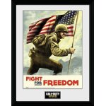 Call of duty wwii fight for freedom encadr� collector 30x40cm