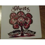 Cd single digipack de laura marling : ghosts / the needle and the damage done