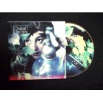 Chloe lacan : plaisirs solitaires - cd sampler 6t + bonus video live