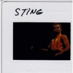 Diapositive originale sting