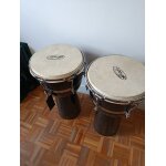 Djemb�s stagg universal of music