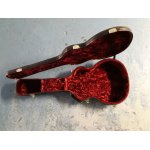 Flycase taylor