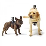 Gopro fetch - harnais pour chiens support cam�ra sport gopro