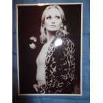 Grande photo n&b de patricia kaas
