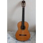 Guitare alhambra