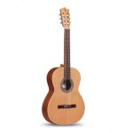 Guitare alhambra z nature