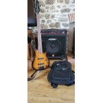 Guitare basse 5 cordes avec ampli peavey