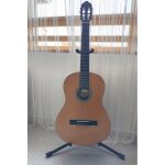 Guitare classique pack 4 / 4 - valencia vc204