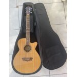Guitare electro - acoustique whasburn accordeur int�gr� . incluant : housse de protection et tr�pied
