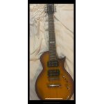 Guitare electro electrique harley benson a 100€ Guitare electro electrique harley benson a 100€