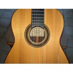 Guitare flamenca vicente carrillo