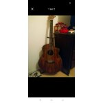 Guitare ibanez ew