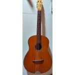 Guitare jazz manouche paul beuscher Guitare jazz manouche paul beuscher