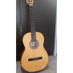 Guitare sche cort