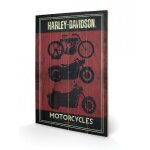 Harley davidson (motorcycle) 40x59cm - bois