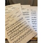 J. strauss fantaisie - selection motifs chauve - souris orchestre salon rhode rahter